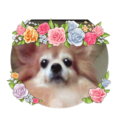 tomomi_20220301153657