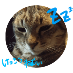 suzu_20220301173412