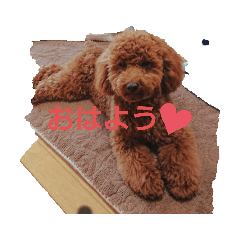 suzu_20220301211129