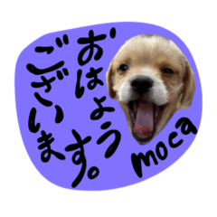 mocaがしゃべるよ。