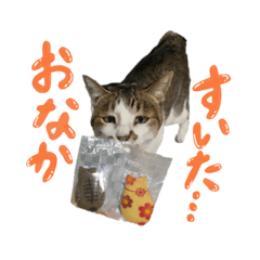 Kii_20220301222339