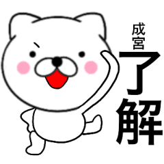 Name cat Narumiya