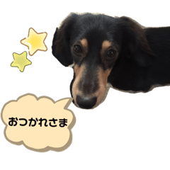 akiko_20220301213134