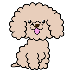 Cream apricot toy poodle sticker
