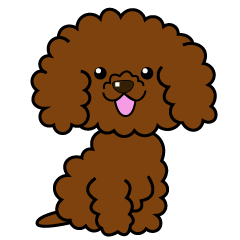 Brown toy poodle sticker