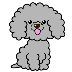 Gray toy poodle sticker