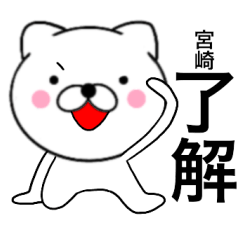 Name cat Miyazaki