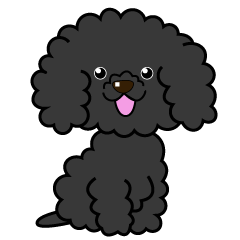 Black toy poodle's sticker