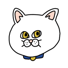 01 face