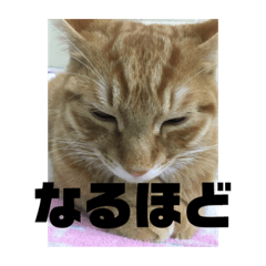 chie_20220301210514