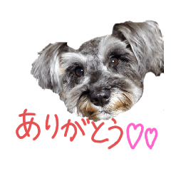 natsumi_20220302050714