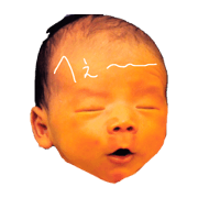 Aden_kosei_Eli