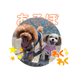 arisa_20220301204646