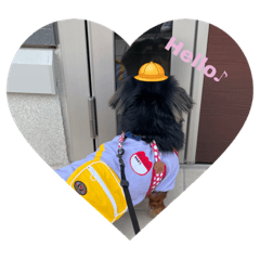 レオくん⭐︎親バカスタンプ