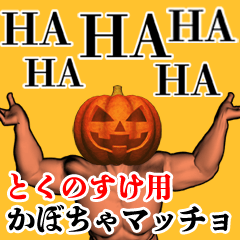 Tokunosuke Pumpkin macho