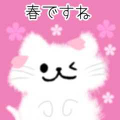 Mofunaynn soft cat Sakura