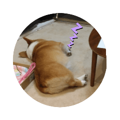 suzu_20220301180233