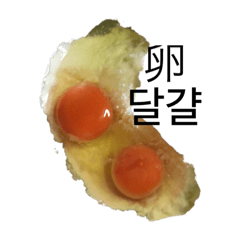 한국어 일본어 음식