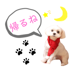 miaaaaa2