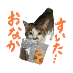 Kii_20220302151220