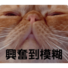 MAO_20220302045009
