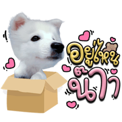 Iamnook_20220302034348