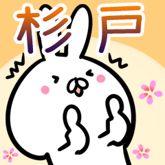 Sugito usagi namae Sticker