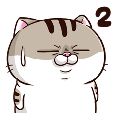 Ami-太った猫 可愛い 2