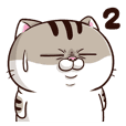 Ami-太った猫 可愛い 2