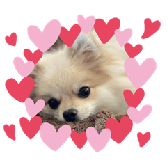 ryu_sute_luna_101202