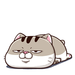 Ami-太った猫 可愛い - LINE スタンプ LINE STORE