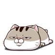 Ami-太った猫 可愛い