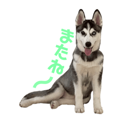 Bella_20220302220622