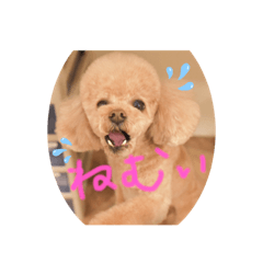 SUZU_20220302173730