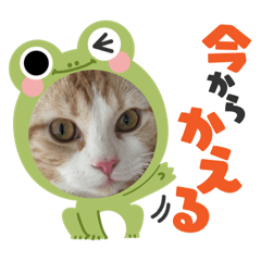 miki_20220302182442