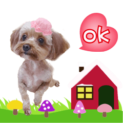 咖啡與拉拉紀念貼圖