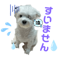 yk_20220302193754