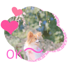 yukari_20220303113409