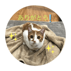 Hana_20220301202647