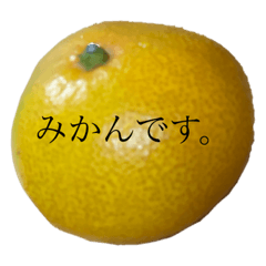 YAMADA_20220302195512