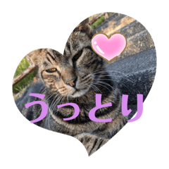 Himawari_20220302205323