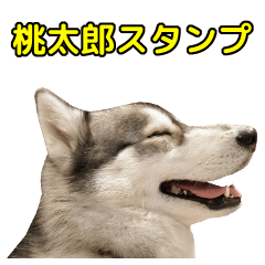 Husky's Sticker -MOMOTARO-