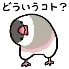 Mochi Bird 3 / Everyday Stickers
