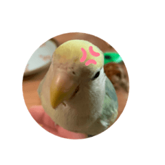 kuu_20220303102402