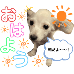 yuka_20220303130357