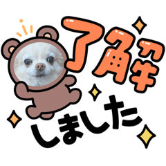 tomomi_20220303141342