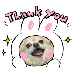 tomomi_20220303151517