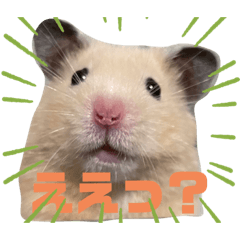 arisa_20220303151838