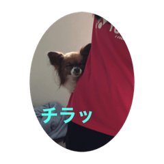 yuka_20220303191127