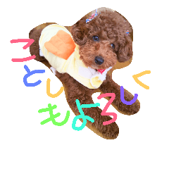 dog the HAPPY